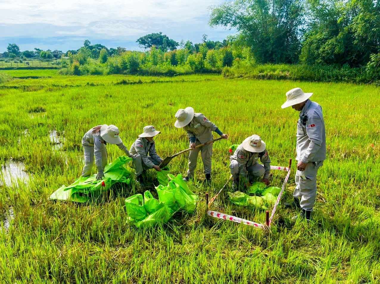 Bài 2: Những hạt giống hòa bình Bài 2: Những hạt giống hòa bình
