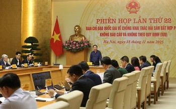 Đẩy nhanh hoàn thiện hệ thống dữ liệu quốc gia về nghề cá trước ngày 31/12/2025