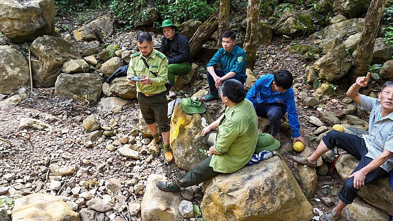 Điện Biên chủ động phòng chống cháy rừng, bảo vệ hơn 592 nghìn ha đất lâm nghiệp Điện Biên chủ động phòng chống cháy rừng, bảo vệ hơn 592 nghìn ha đất lâm nghiệp