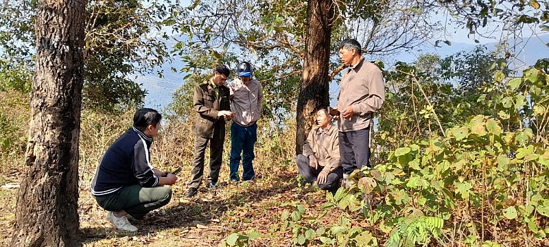 Điện Biên chủ động phòng chống cháy rừng, bảo vệ hơn 592 nghìn ha đất lâm nghiệp Điện Biên chủ động phòng chống cháy rừng, bảo vệ hơn 592 nghìn ha đất lâm nghiệp