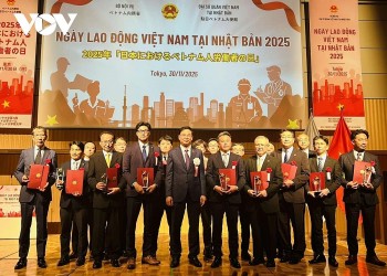 Affirming Role of Vietnam’s Quality Workforce in Japan