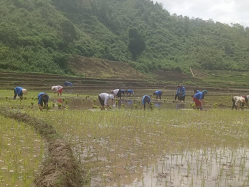 Mường Toong bừng sáng từ những bước chân đầu tiên