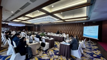 Thúc đẩy thực thi Công ước chống tra tấn qua giới thiệu Nguyên tắc Méndez trong điều tra, thu thập thông tin