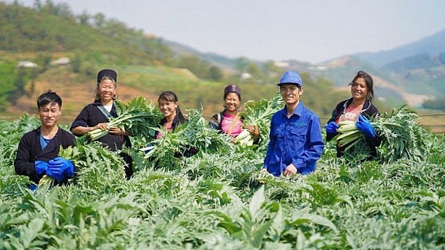 In Viet Nam, surveys of medicinal genetic resources have recorded 5,117 species, including many rare and valuable medicinal plants, along with a rich repository of traditional medicine knowledge that has been accumulated over many generations. In Viet Nam, surveys of medicinal genetic resources have recorded 5,117 species, including many rare and valuable medicinal plants, along with a rich repository of traditional medicine knowledge that has been accumulated over many generations.