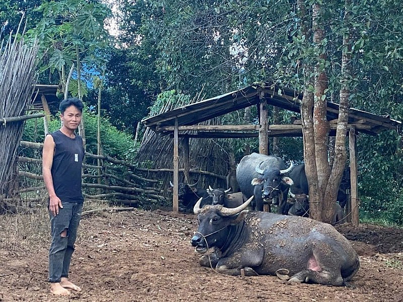 Đòn bẩy giúp đồng bào dân tộc ở Mường Toong vươn lên thoát nghèo Đòn bẩy giúp đồng bào dân tộc ở Mường Toong vươn lên thoát nghèo