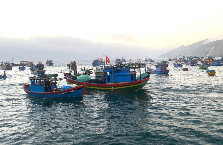 Strict sanctions are a necessary solution to restore order and ensure that fishing activities comply with legal regulations. (Photo: N.N) Strict sanctions are a necessary solution to restore order and ensure that fishing activities comply with legal regulations. (Photo: N.N)