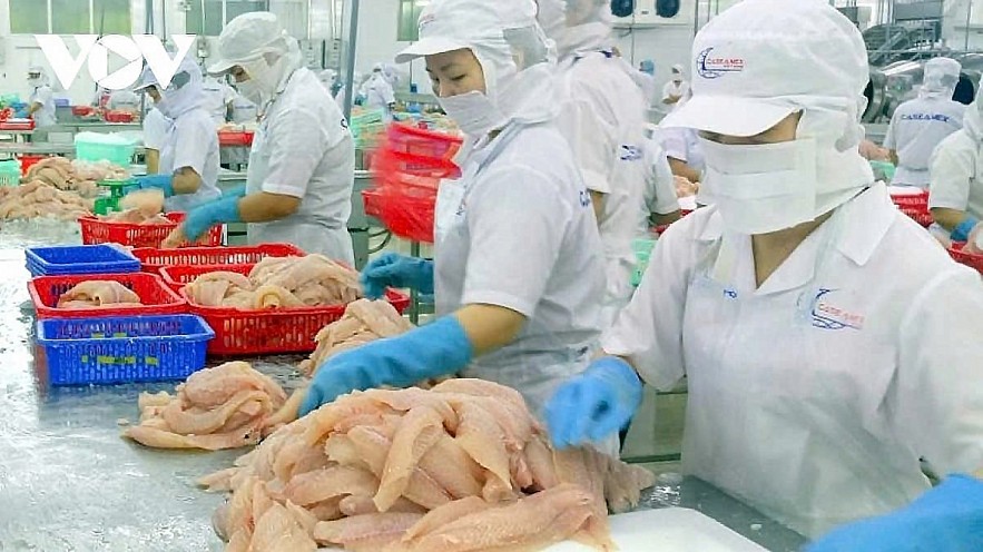 Catfish fillets are among key exports of Vietnam to Singapore.