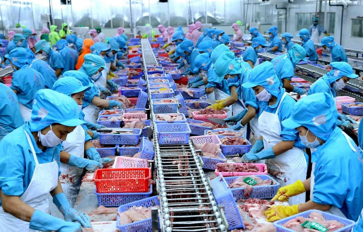 Thủy sản là một trong những mặt hàng xuất khẩu chủ lực. Ảnh minh họa Thủy sản là một trong những mặt hàng xuất khẩu chủ lực. Ảnh minh họa