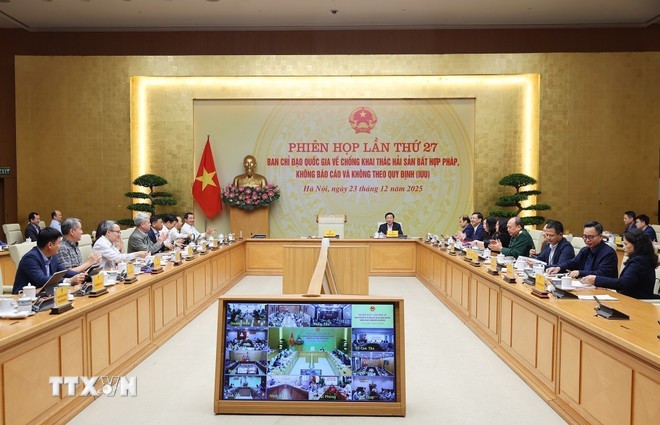 IUU Fishing Prevention: Resolve Violations, Report Honestly to EC