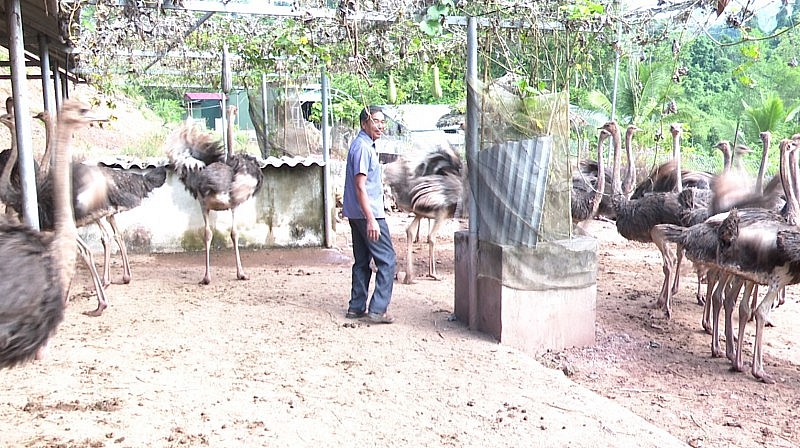 Tuyên truyền - đòn bẩy thay đổi nhận thức người dân vùng biên Tuyên truyền - đòn bẩy thay đổi nhận thức người dân vùng biên