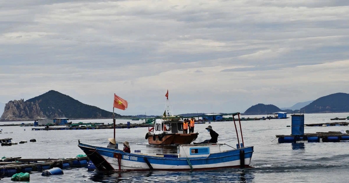Đắk Lắk tăng cường tuyên truyền chống khai thác hải sản bất hợp pháp, quyết tâm gỡ “thẻ vàng” EC Đắk Lắk tăng cường tuyên truyền chống khai thác hải sản bất hợp pháp