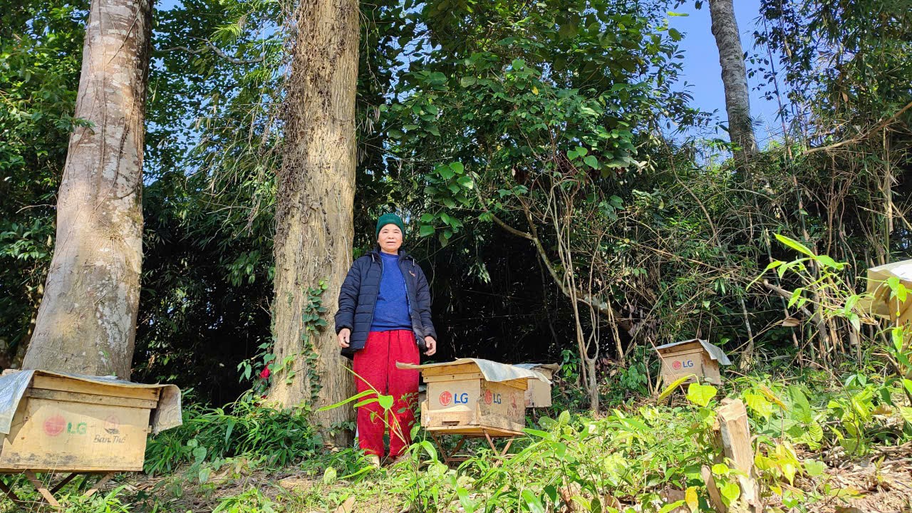 WVIV thúc đẩy nông nghiệp tái sinh, nâng cao sinh kế cộng đồng tại Thanh Hóa WVIV thúc đẩy nông nghiệp tái sinh, nâng cao sinh kế cộng đồng tại Thanh Hóa