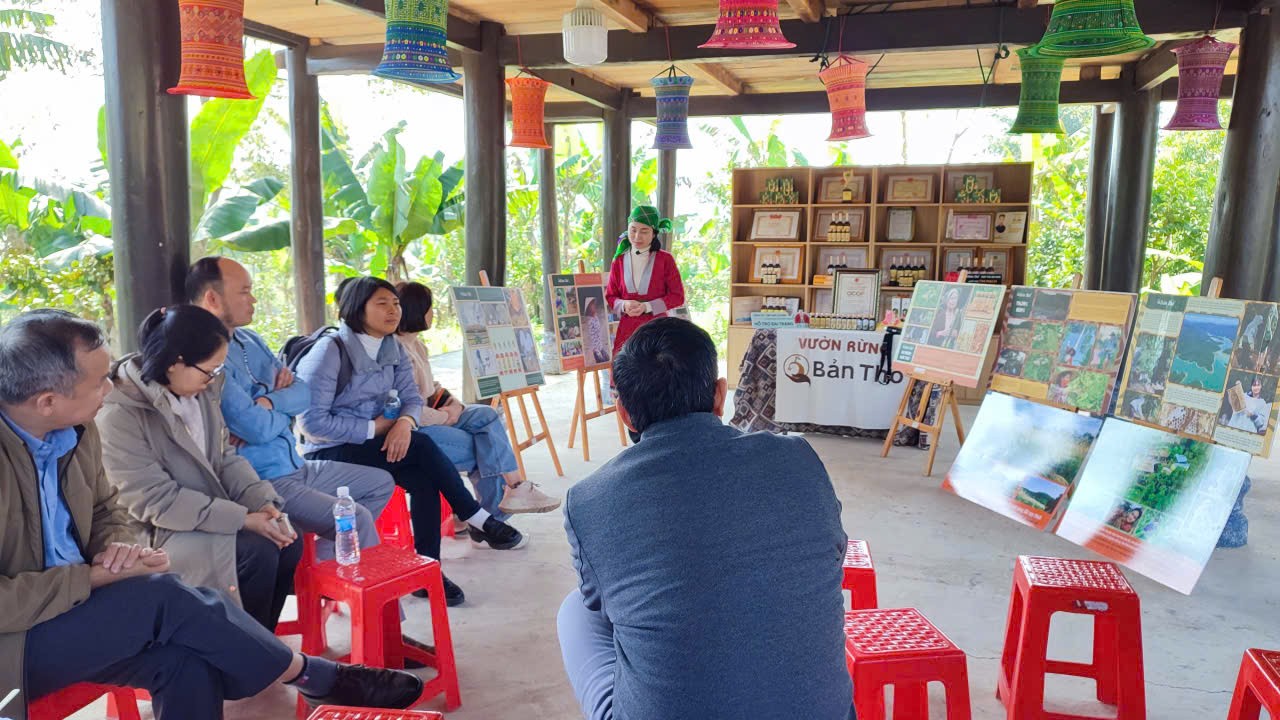 WVIV thúc đẩy nông nghiệp tái sinh, nâng cao sinh kế cộng đồng tại Thanh Hóa WVIV thúc đẩy nông nghiệp tái sinh, nâng cao sinh kế cộng đồng tại Thanh Hóa