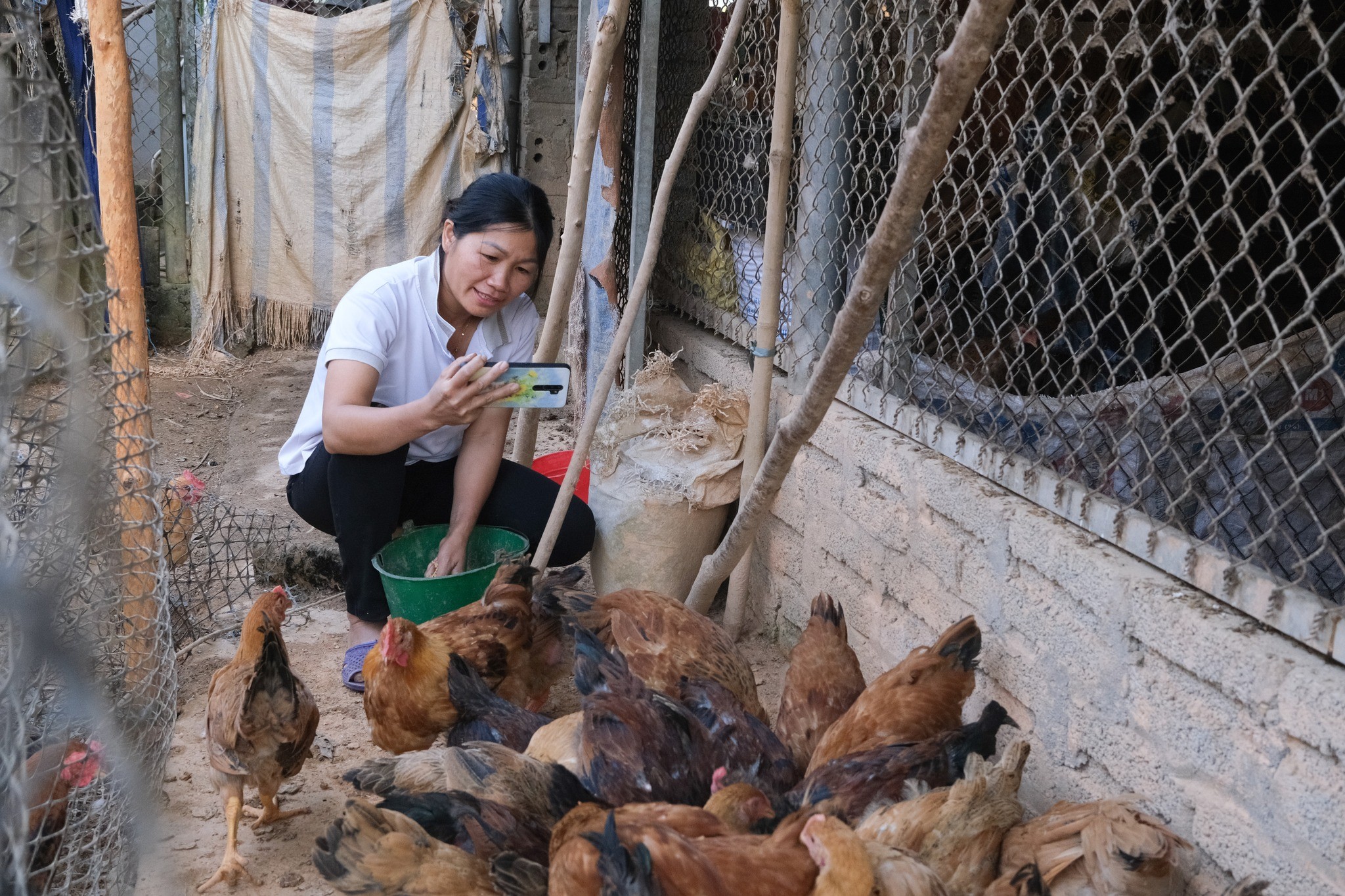 Chị Dung chăm sóc đàn gia cầm tại nhà. (Ảnh: Oxfam tại Việt Nam) Chị Dung chăm sóc đàn gia cầm tại nhà. (Ảnh: Oxfam tại Việt Nam)