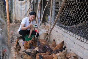 Học cách phát triển sinh kế bền vững ở vùng cao