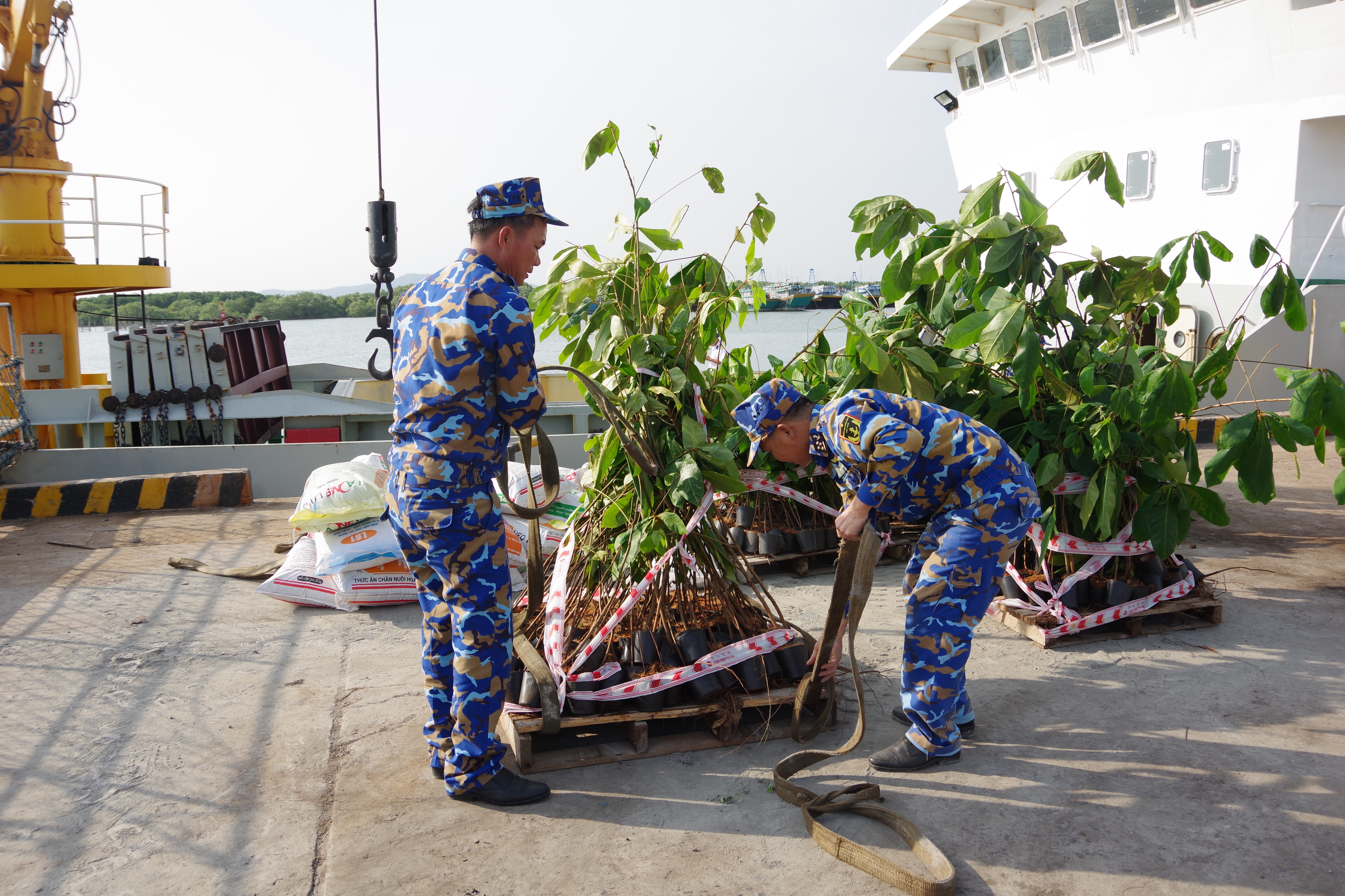 Chuyển cây giống, vật tư thực hiện chương trình Mang quà Tết sớm tới Đặc khu Trường Sa