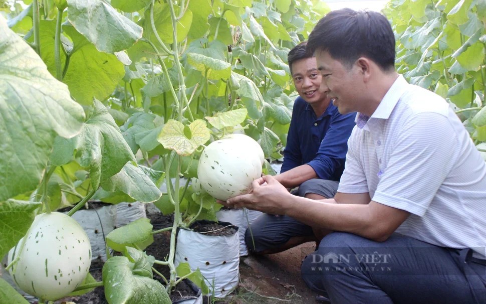 Chủ tịch Hội Nông dân Việt Nam Lương Quốc Đoàn: Phát huy vai trò, sức sáng tạo của nông dân trong kỷ nguyên mới đất nước