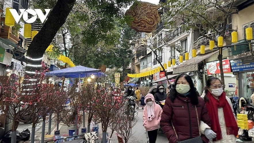 Vietnam may see severe cold during the Lunar New Year 2026 as multiple cold air surges are forecast from late January into early February. Vietnam may see severe cold during the Lunar New Year 2026 as multiple cold air surges are forecast from late January into early February.