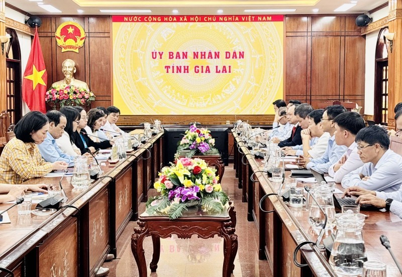 Duong Mah Tiep, Vice Chairman of the Gia Lai Provincial People’s Committee, meets and works with a delegation from the United Nations Children’s Fund (UNICEF) in Vietnam and the Department of Dyke Management and Disaster Prevention and Control (Ministry of Agriculture and Environment). (Photo: Hoang Thao/gialai.gov.vn) Duong Mah Tiep, Vice Chairman of the Gia Lai Provincial People’s Committee, meets and works with a delegation from the United Nations Children’s Fund (UNICEF) in Vietnam and the Department of Dyke Management and Disaster Prevention and Control (Ministry of Agriculture and Environment). (Photo: Hoang Thao/gialai.gov.vn)