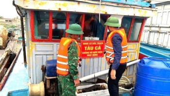 Quảng Trị sẽ chuyển đổi 771 tàu cá theo hướng khai thác bền vững