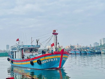 Nghị định mới hướng dẫn thi hành Luật Thủy sản: Siết quản lý tàu cá và chống khai thác IUU