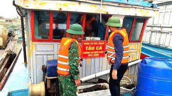 Quảng Trị sẽ chuyển đổi 771 tàu cá theo hướng khai thác bền vững