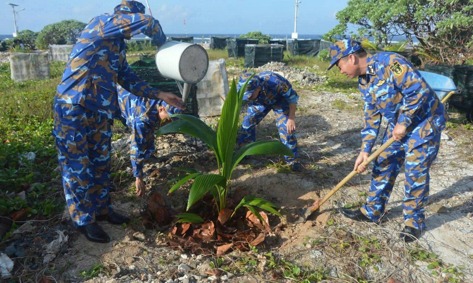 Năm 2025: trồng hơn 200.000 cây xanh trên quần đảo Trường Sa Năm 2025: trồng hơn 200.000 cây xanh trên quần đảo Trường Sa