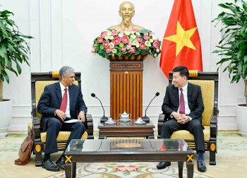 Thúc đẩy hợp tác sâu rộng nhân kỷ niệm 10 năm Đối tác chiến lược toàn diện Việt Nam - Ấn Độ