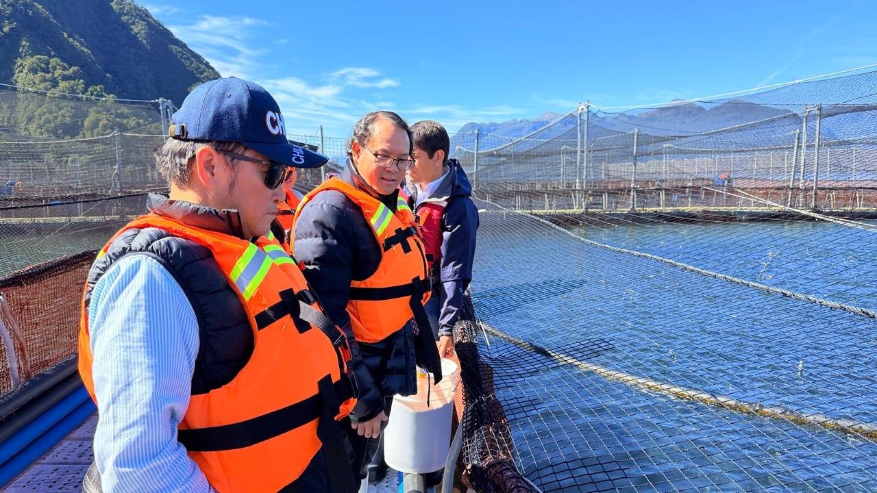 Xúc tiến tiềm năng hợp tác thuỷ sản tại vùng Aysén (Chile) Xúc tiến tiềm năng hợp tác thuỷ sản tại vùng Aysén (Chile)