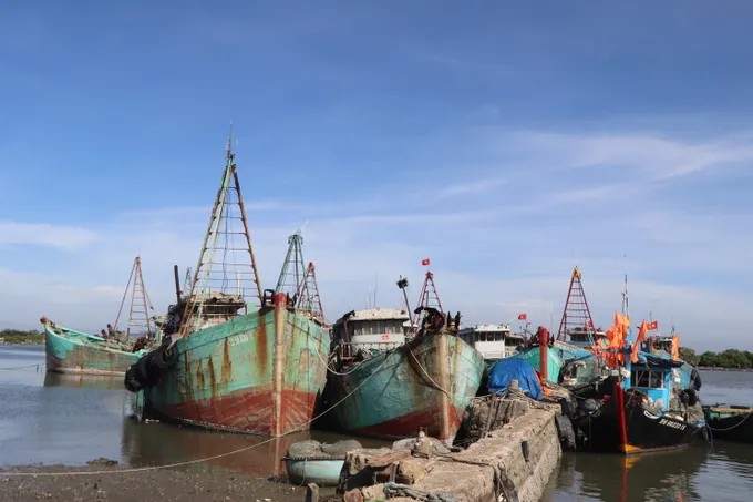 Tàu cá không đủ điều kiện hoạt động của xã Long Hải đang tập trung tại ụ tàu Lứa Bạn ấp Phước Thái, xã Long Hải để quản lý. (Ảnh: Báo Sài Gòn Giải Phóng) Tàu cá không đủ điều kiện hoạt động của xã Long Hải đang tập trung tại ụ tàu Lứa Bạn ấp Phước Thái, xã Long Hải để quản lý. (Ảnh: Báo Sài Gòn Giải Phóng)