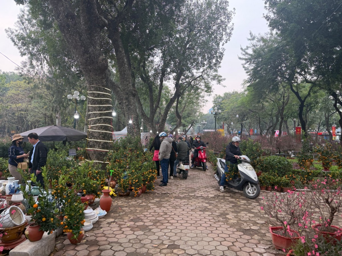  chợ hoa phường Hai Bà Trưng