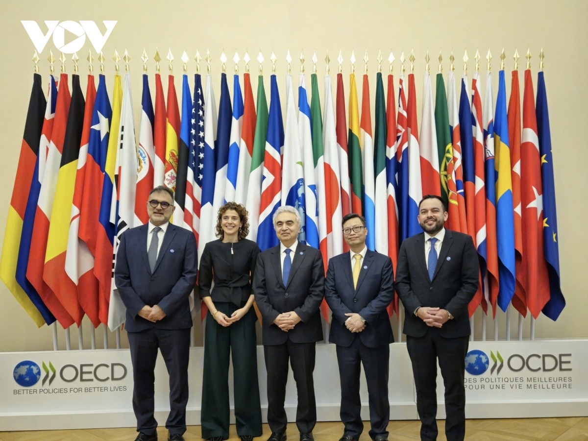 Tiến sĩ Fatih Birol (giữa), Giám đốc điều hành IEA, khẳng định các nước thành viên đánh giá cao sự hợp tác ngày càng sâu sắc với Việt Nam Tiến sĩ Fatih Birol (giữa), Giám đốc điều hành IEA, khẳng định các nước thành viên đánh giá cao sự hợp tác ngày càng sâu sắc với Việt Nam