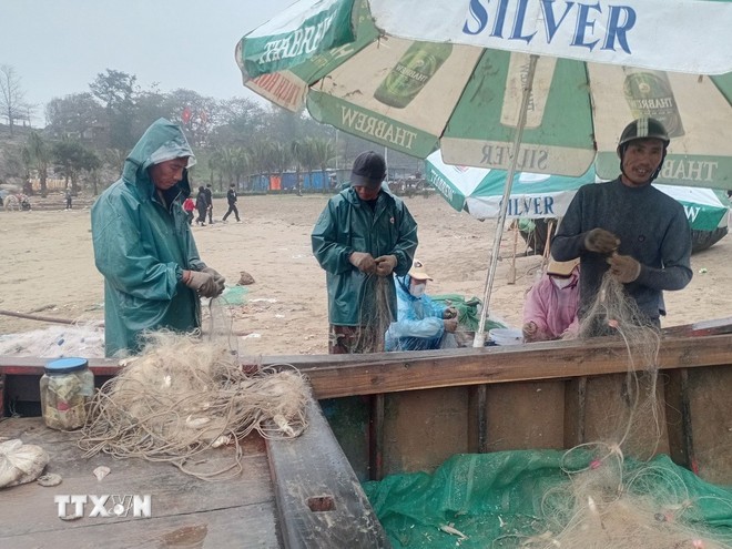 Người dân phường Sầm Sơn, Thanh Hóa lấy cá từ lưới vừa đánh bắt trên biển. (Ảnh: Nguyễn Nam/TTXVN) Người dân phường Sầm Sơn, Thanh Hóa lấy cá từ lưới vừa đánh bắt trên biển. (Ảnh: Nguyễn Nam/TTXVN)