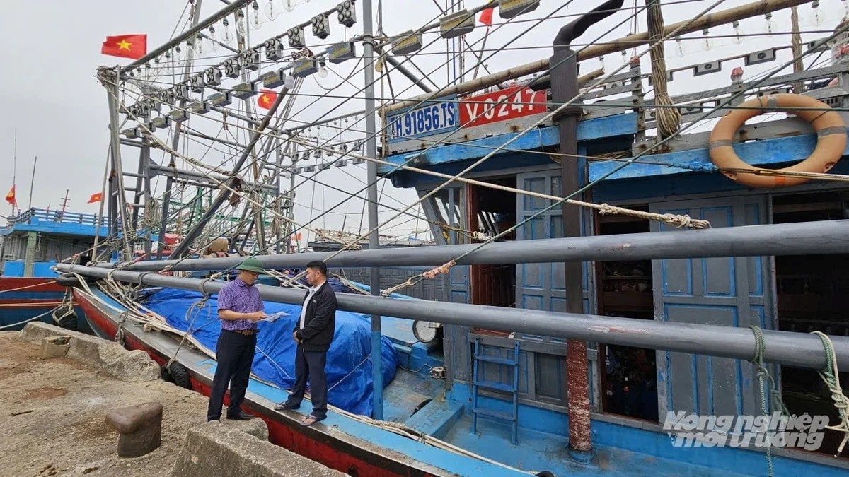 Functional forces disseminate information to fishermen on combating IUU fishing at Thanh Hoa Fishing Port. (Photo: Quoc Toan, Agriculture and Environment Newspaper) Functional forces disseminate information to fishermen on combating IUU fishing at Thanh Hoa Fishing Port. (Photo: Quoc Toan, Agriculture and Environment Newspaper)