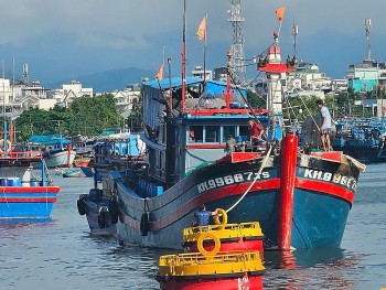 Vừa bội thu cá ngừ, vừa siết chặt IUU: Khánh Hòa khởi đầu năm mới bằng khai thác bền vững