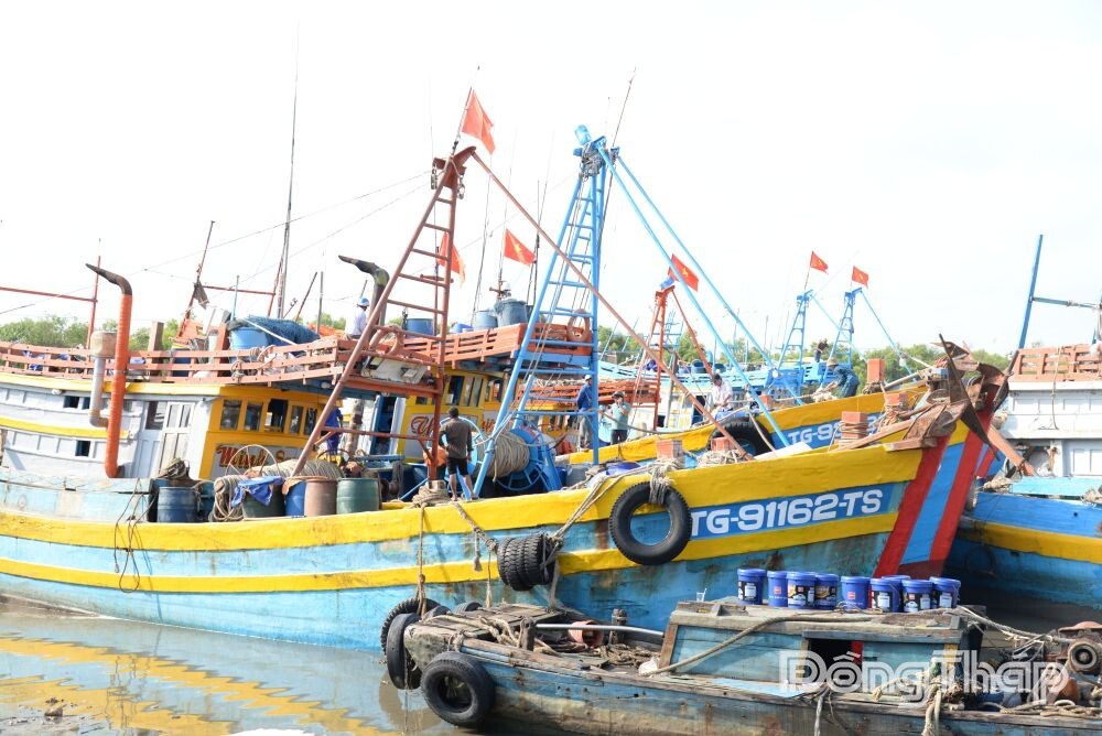 Dong Thap Intensifies Inspections to Combat IUU Fishing Dong Thap Intensifies Inspections to Combat IUU Fishing