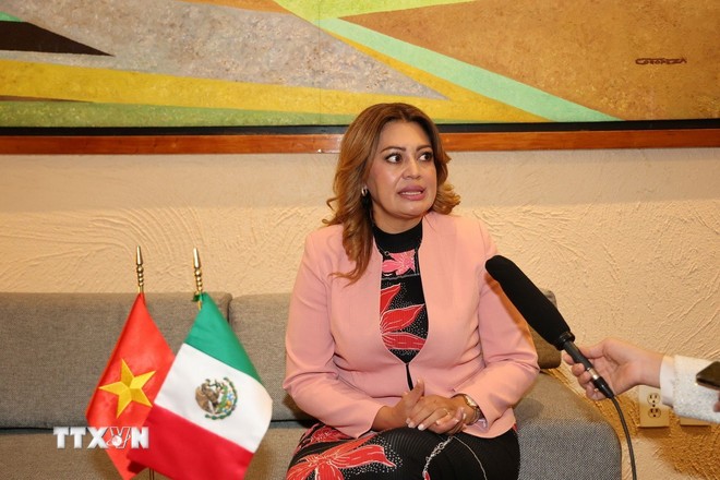 Hạ nghị sỹ Ana Karina Rojo Pimentel – Chủ tịch Ủy ban Phúc lợi Hạ viện, đồng thời là Chủ tịch Nhóm Nghị sỹ Hữu nghị Mexico – Việt Nam Hạ nghị sỹ Ana Karina Rojo Pimentel – Chủ tịch Ủy ban Phúc lợi Hạ viện, đồng thời là Chủ tịch Nhóm Nghị sỹ Hữu nghị Mexico – Việt Nam