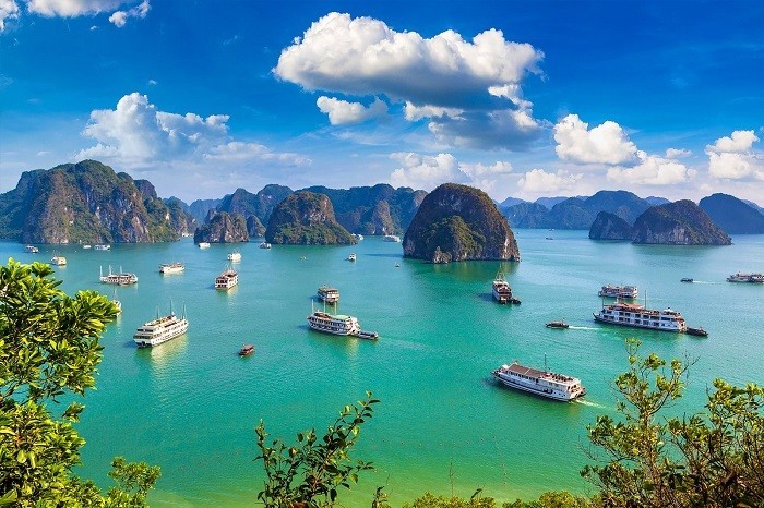 Ha Long Bay is always a must-visit destination for international tourists when coming to Vietnam. (Photo: Collected)