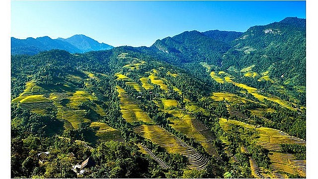 An overview of Bat Xat National Park in the northern province of Lao Cai An overview of Bat Xat National Park in the northern province of Lao Cai