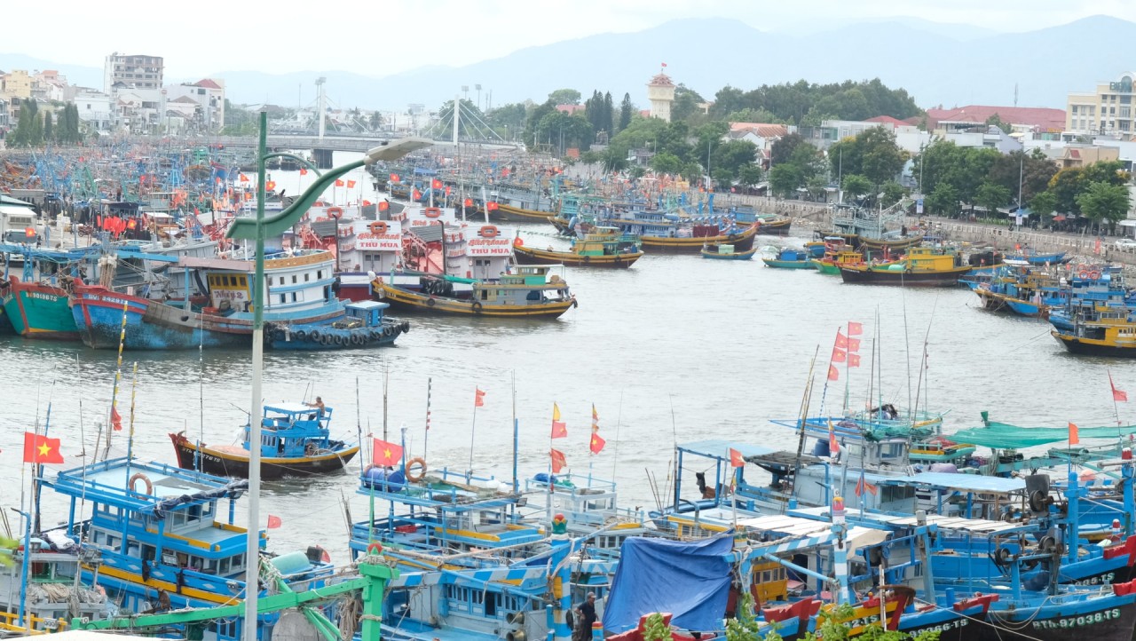Lam Dong province currently has 8,205 fishing vessels, with fleet management being implemented strictly (Photo: Lam Dong Newspaper) Lam Dong province currently has 8,205 fishing vessels, with fleet management being implemented strictly (Photo: Lam Dong Newspaper)