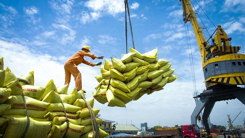 Expanding Market Access to Sustain Vietnam’s Rice Sector