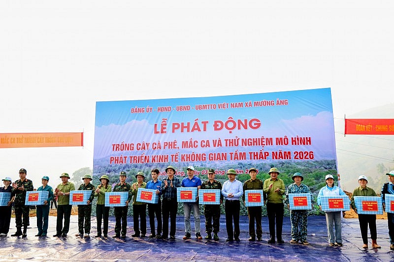 Điện Biên phát động trồng mới cây cà phê, mắc ca tại 42 xã, phường Điện Biên phát động trồng mới cây cà phê, mắc ca tại 42 xã, phường