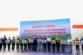 Điện Biên phát động trồng mới cây cà phê, mắc ca tại 42 xã, phường