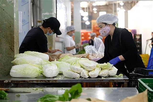 Workers process vegetables for export at a facility in Lâm Đồng Province.Việt Nam's growth is driven by strong domestic demand and exports. — VNA/VNS Photo Workers process vegetables for export at a facility in Lâm Đồng Province.Việt Nam's growth is driven by strong domestic demand and exports. — VNA/VNS Photo