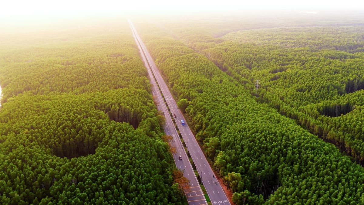 Chạy xuyên rừng ngập mặn và dọc bờ biển Cần Giờ là trải nghiệm đáng giá nhất tại VnExpress Marathon Green Paradise.