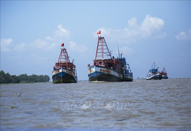 Fishing vessels anchored in the waters of An Bien, An Giang province. (Photo: Hong Dat/TTXVN) Fishing vessels anchored in the waters of An Bien, An Giang province. (Photo: Hong Dat/TTXVN)