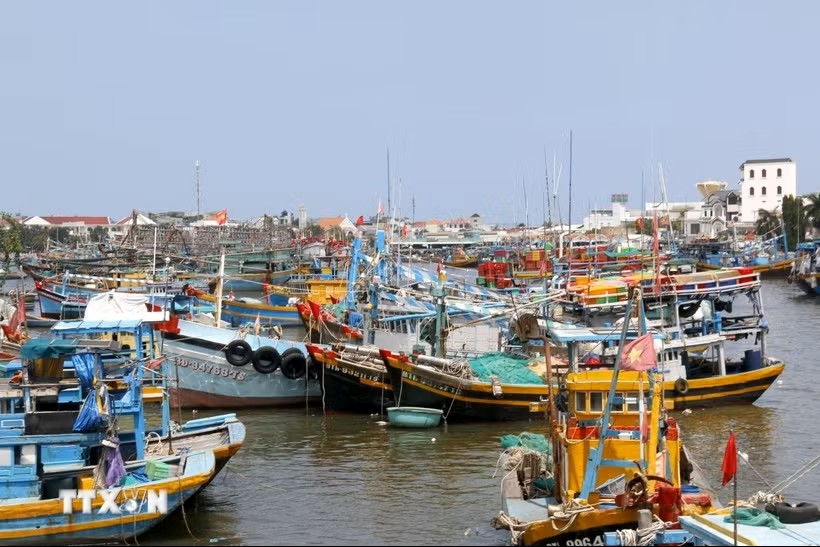 Fishing boats anchored along the Ca Ty River. (Photo: Hong Hieu/VNA) Fishing boats anchored along the Ca Ty River. (Photo: Hong Hieu/VNA)