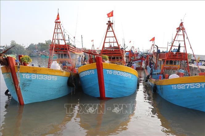 All fishing vessels in Dong Thap Province equipped with vessel monitoring systems (VMS) are now operational. (Photo: VNA) All fishing vessels in Dong Thap Province equipped with vessel monitoring systems (VMS) are now operational. (Photo: VNA)