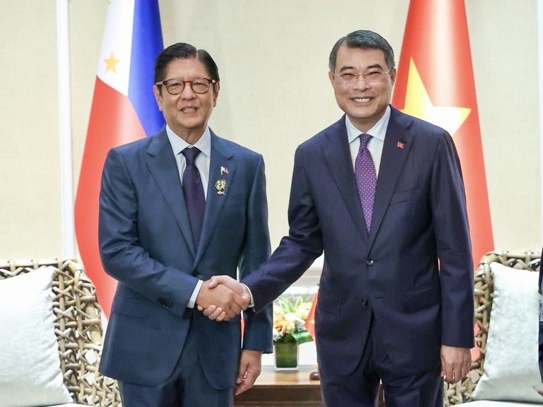Thủ tướng Lê Minh Hưng hội kiến Tổng thống Philippines Ferdinand Romualdez Marcos Jr - Ảnh: VGP/Nhật Bắc Thủ tướng Lê Minh Hưng hội kiến Tổng thống Philippines Ferdinand Romualdez Marcos Jr - Ảnh: VGP/Nhật Bắc