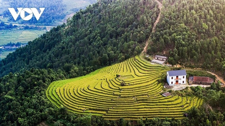 Terraced rice fields in Tuyen Quang province, northern Vietnam